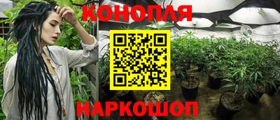 гашик Партизанск