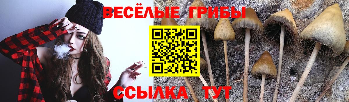 Галлюциногенные грибы мицелий Советский